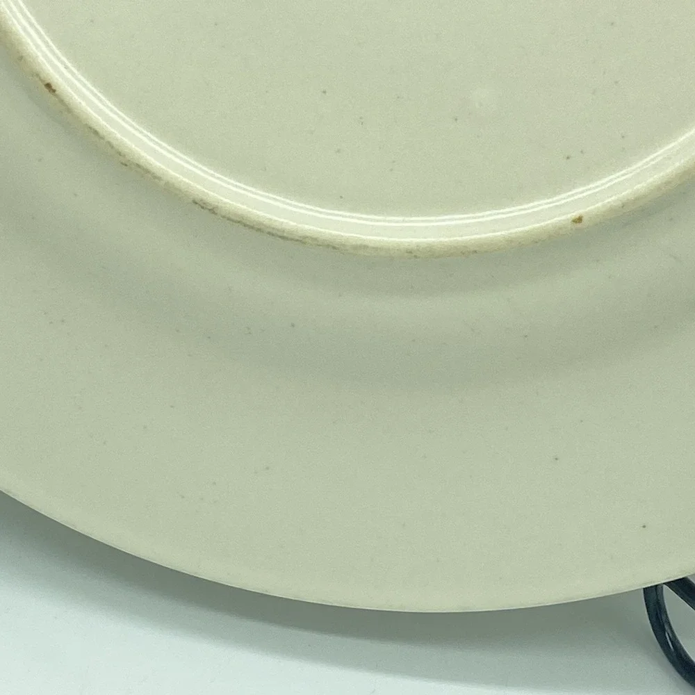 Portfolio Pfaltzgraff Naturewood Dinner Plates 11